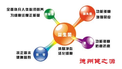 夏天腸胃問題頻發(fā)，您應(yīng)該用益生菌了